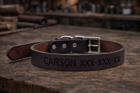 Leather Collar